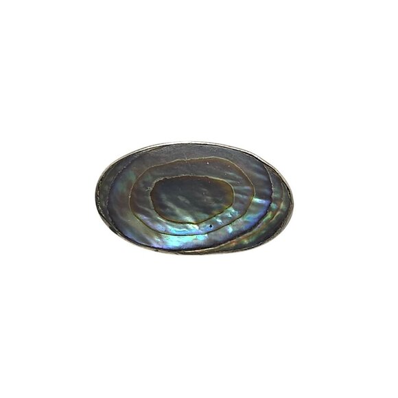 Vintage Oval Abalone Shell Brooch Pin With Silver Backing Unique Iridescent - Picture 1 of 4